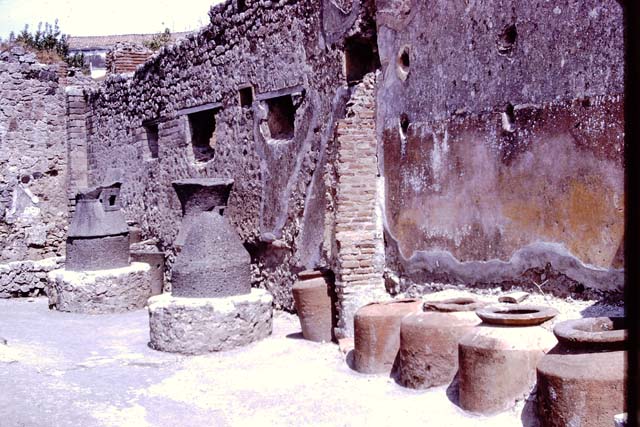 IX.1.3 Pompeii. May 2017. Looking towards north wall of bakery shop, with doorway to cubiculum, on right. Photo courtesy of Buzz Ferebee.
