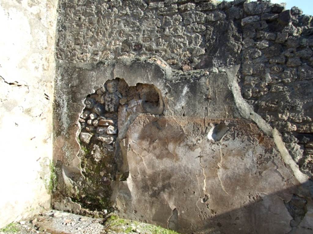 IX.1.6 Pompeii. March 2009. South wall of rear room.