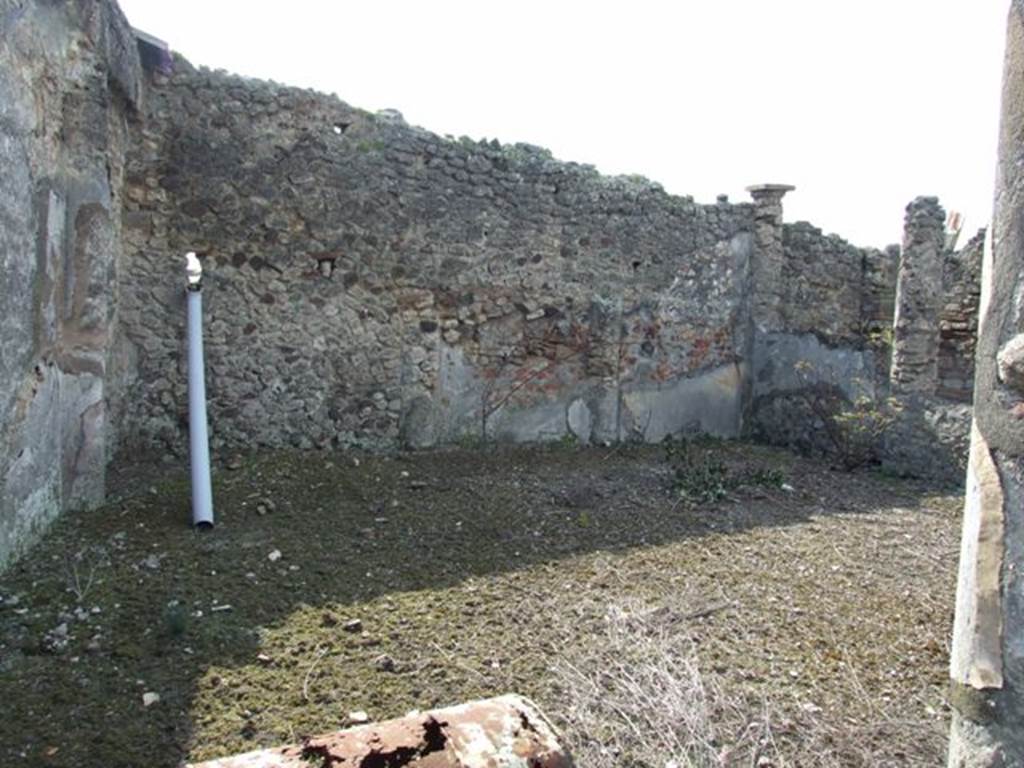 IX.2.17 Pompeii.  March 2009.  Room 9, Garden area.  West wall.