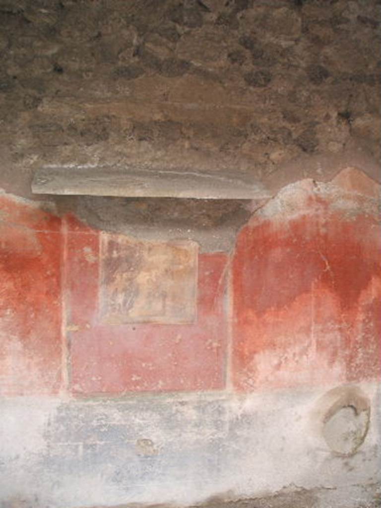 IX.2.21 Pompeii.   May 2005. Wall painting on west wall.