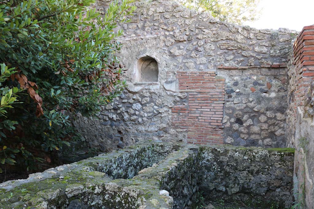 IX.2.24 Pompeii. December 2018. Looking towards west wall of yard. Photo courtesy of Aude Durand.