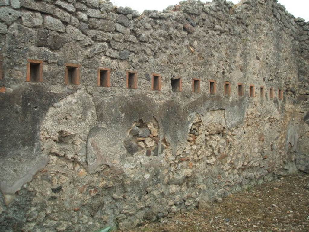 IX.2.24 Pompeii.  May 2005.  South wall.