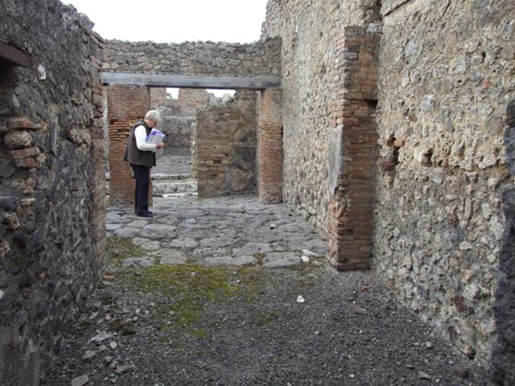 IX.2.24 Pompeii.  March 2009.   Looking north to entrance rooms.