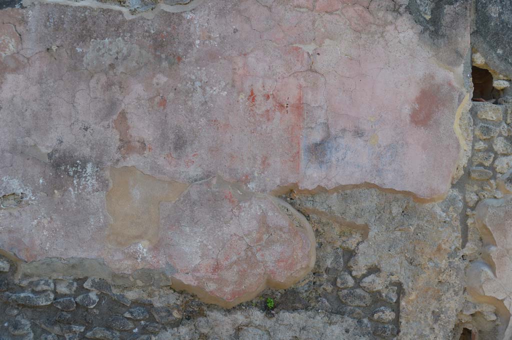 IX.2.26 Pompeii. March 2019. Detail of painted decoration from west side of entrance doorway.
Foto Taylor Lauritsen, ERC Grant 681269 DÉCOR.
