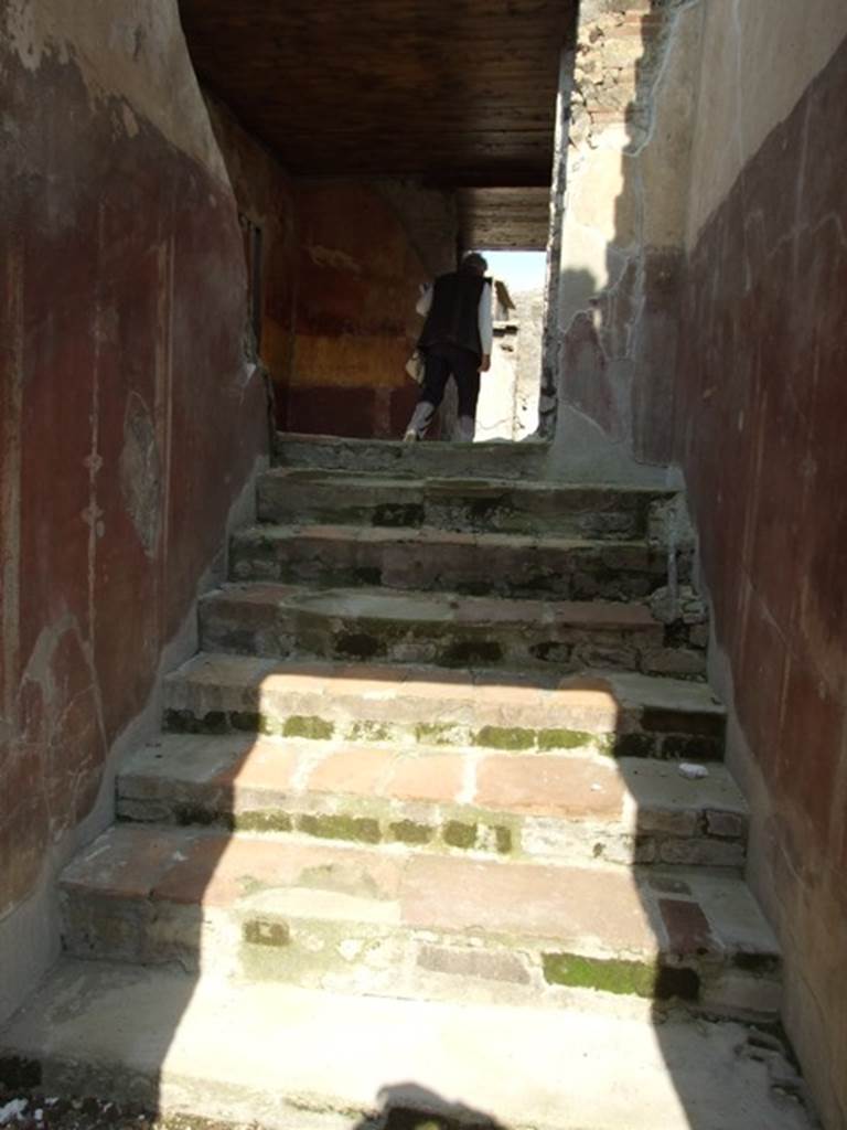 IX.3.5 Pompeii. March 2009. Room 17, stairs to upper level. According to Dyer: 
“In order to enter the peristyle, the visitor must ascend a flight of seven steps in the fauces or narrow passage, on the left of the tablinum. On these steps a skeleton was found”.
See Dyer, T., 1867. The Ruins of Pompeii. London: Bell and Daldy. (p.85)
