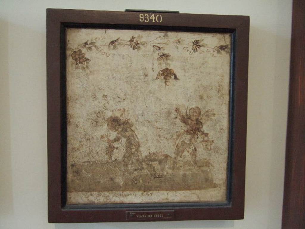 IX.3.5 Pompeii. Room 25. Wall painting of Cupids gathering grapes, found in exedra.  Now in Naples Archaeological Museum.  Inventory number 9340.