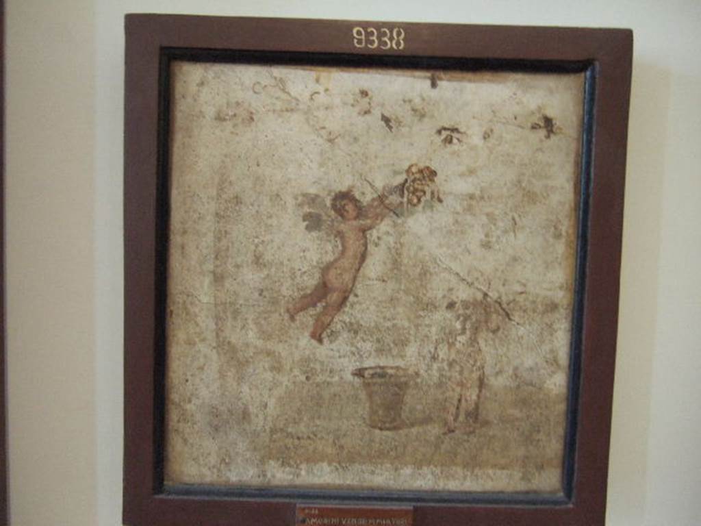 IX.3.5 Pompeii. Room 25. Wall painting of Cupids gathering grapes, found in exedra. Now in Naples Archaeological Museum.  Inventory number 9338.