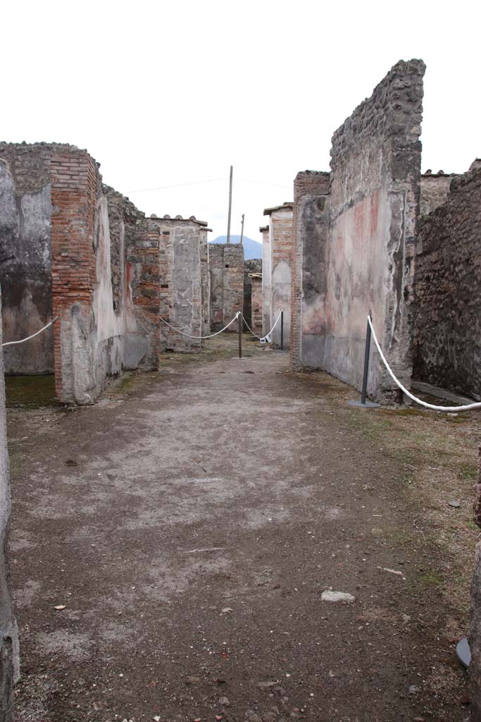 IX.3.5 Pompeii. October 2020. Looking south across atrium in the year of the pandemic. 
Photo courtesy of Klaus Heese.
