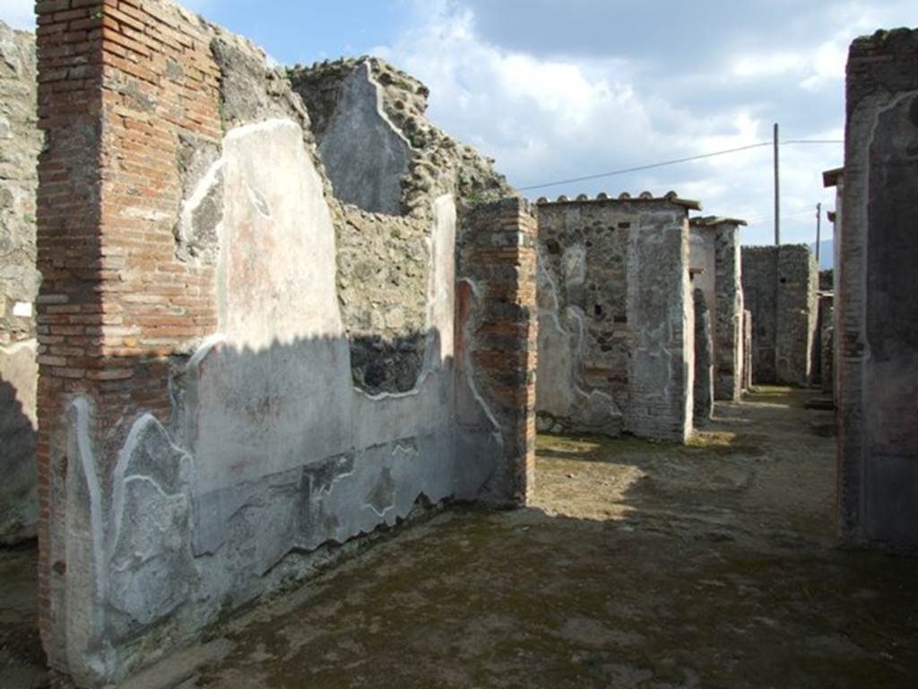 IX.3.5 Pompeii. March 2009. Room 32, east wall of tablinum. The east wall had a black dado.
In the middle zone of the east wall would have been a panel on a white background.
The bordered side panels probably would have been red and yellow. 

