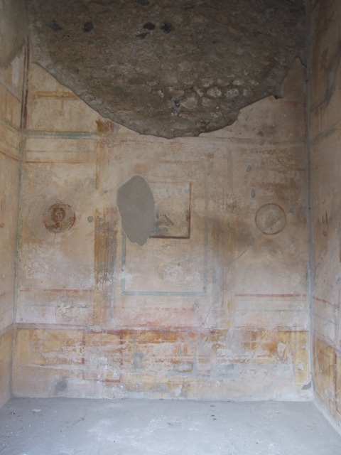 IX.3.5 Pompeii.  March 2009.  Room 5.  North wall.