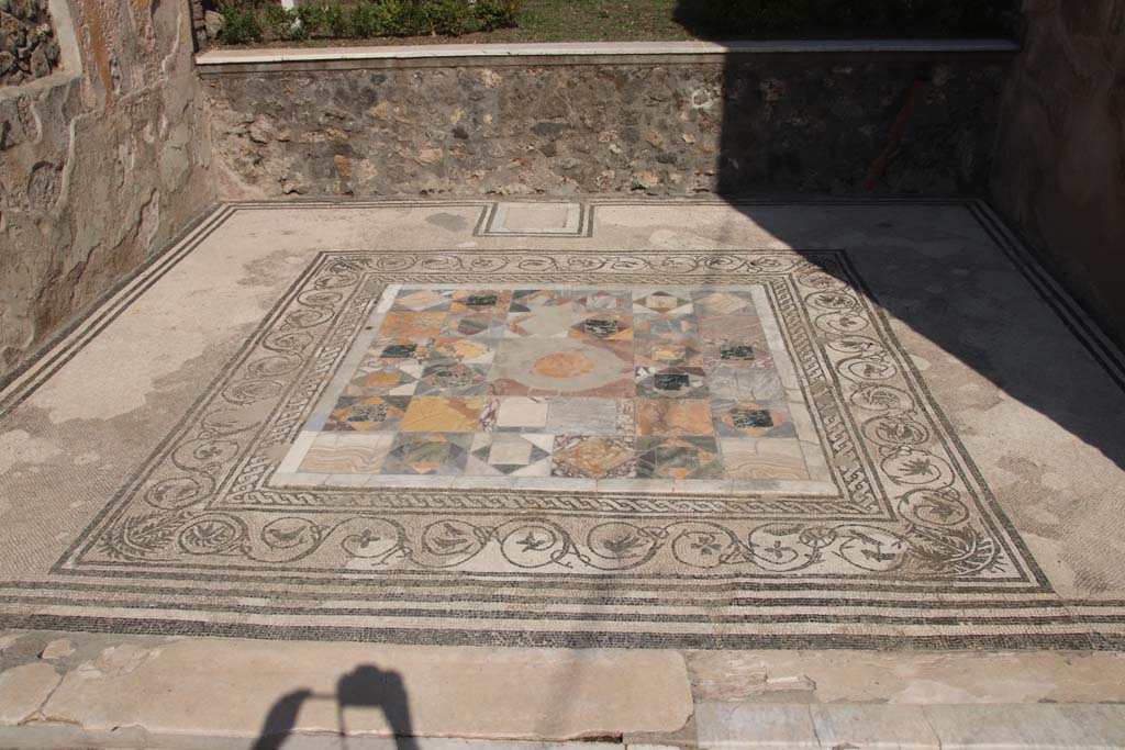 IX.3.5 Pompeii. May 2015. Room 12, mosaic floor in tablinum. Photo courtesy of Buzz Ferebee.