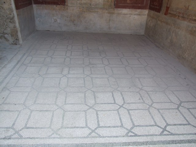 IX.3.5 Pompeii.  March 2009.  Room 13.  Mosaic floor.