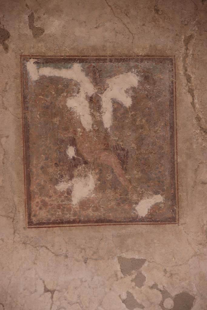 IX.3.5 Pompeii. October 2020. Room 15, central wall painting of Cyparissus, from the centre of the south wall. 
Photo courtesy of Klaus Heese.
