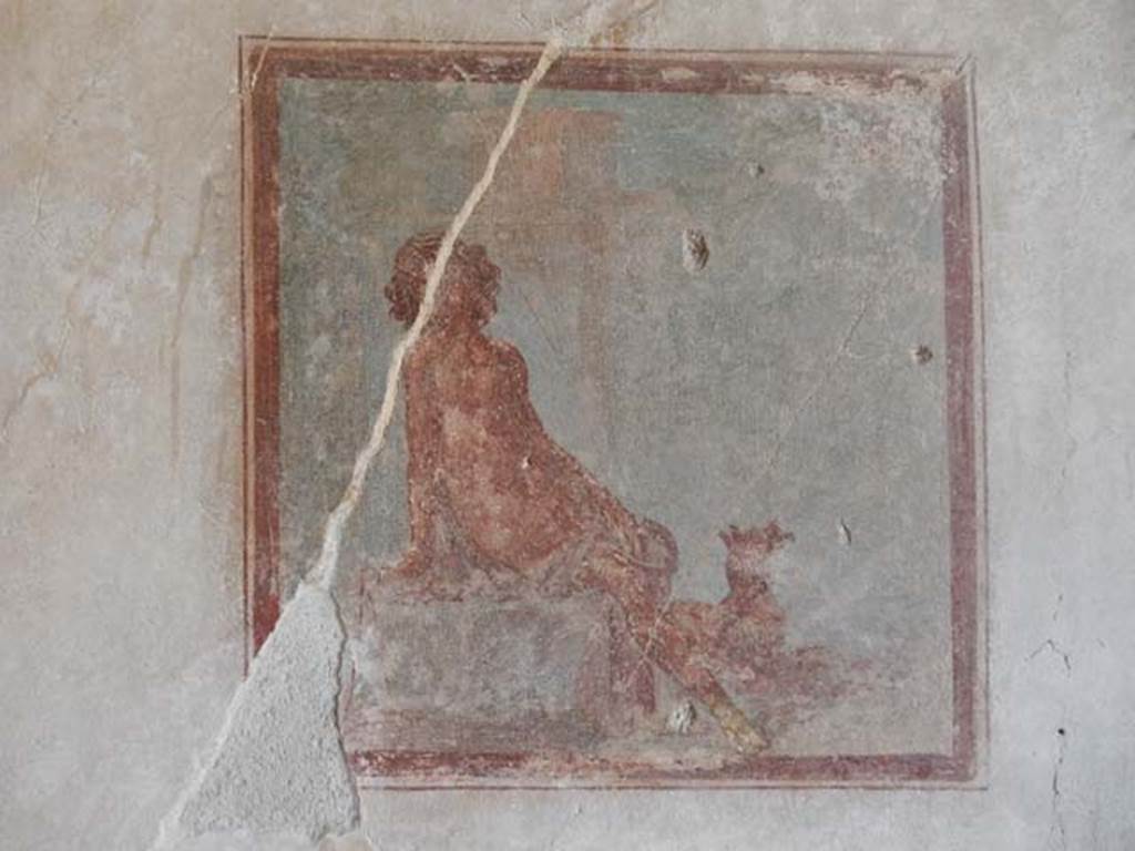 IX.3.5 Pompeii. May 2015. Room 16, central wall painting of Endymion, from west wall. Photo courtesy of Buzz Ferebee.
