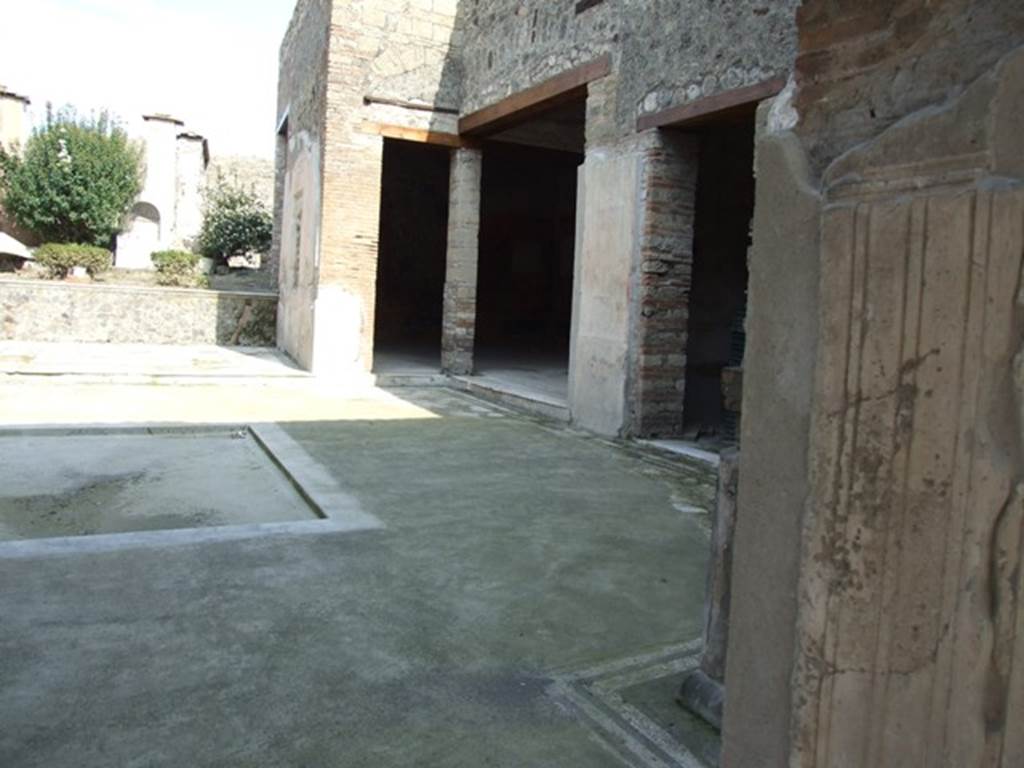 IX.3.5 Pompeii.  March 2009.  Room 3.  Atrium.  South side.