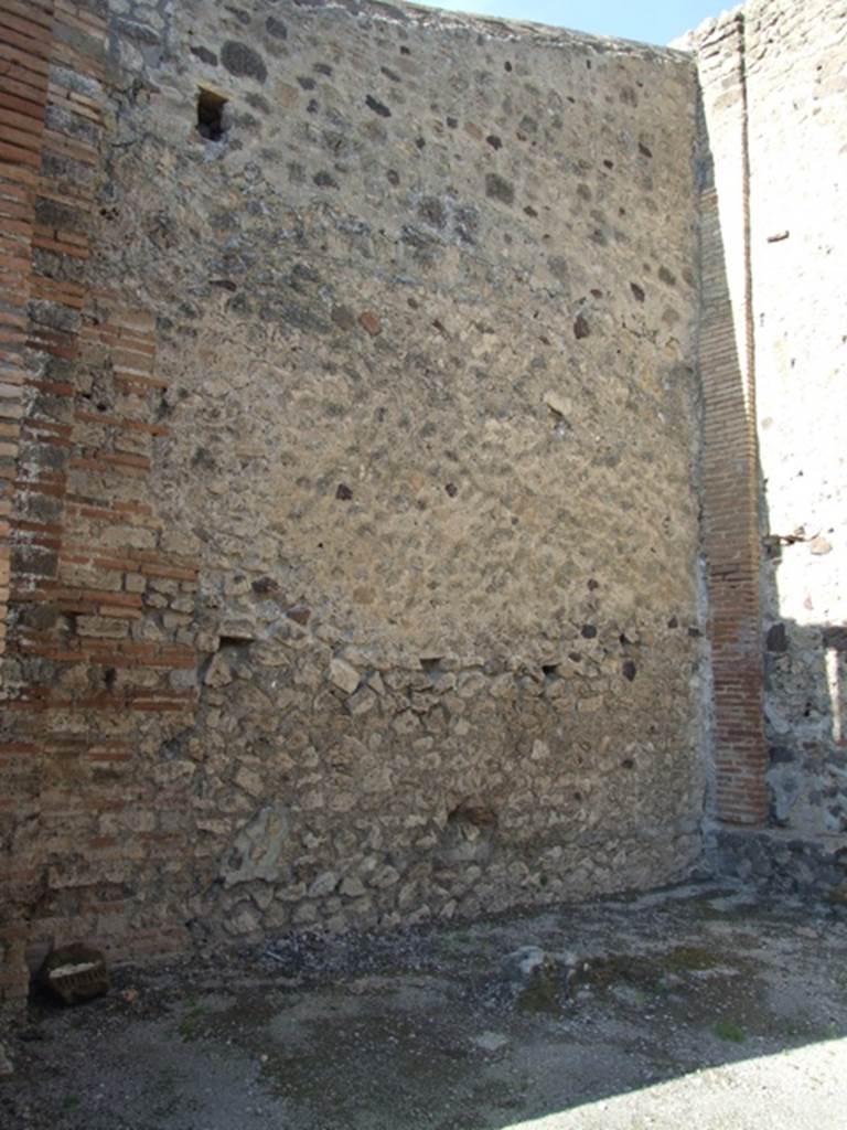 IX.3.6 Pompeii.  March 2009.  North wall.