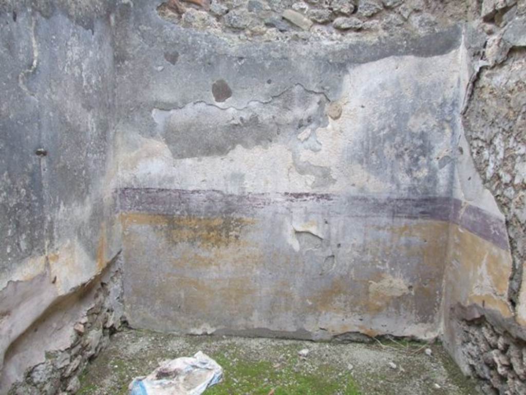 IX.3.15 Pompeii.  March 2009.   Room 5.  West wall, and recess on south wall.
