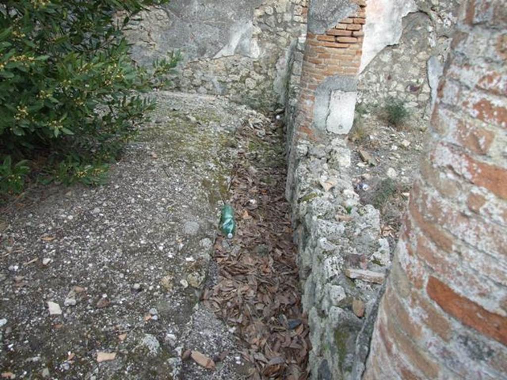 IX.3.15 Pompeii. March 2009. Room 12, south side with gutter around edge of garden.