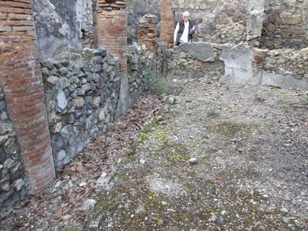 IX.3.15 Pompeii. March 2009. Room 12, west side with gutter around edge of garden.