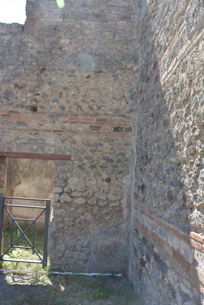 IX.5.1 Pompeii. May 2017. Detail from lower south wall in south-west corner.  
Foto Christian Beck, ERC Grant 681269 DÉCOR.
