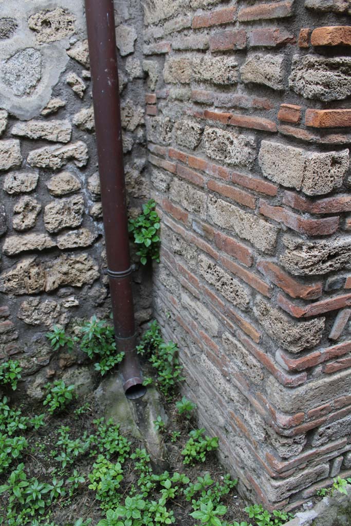 IX.5.4 Pompeii. March 2019. Room e, lower south side of pilaster.
Foto Christian Beck, ERC Grant 681269 DCOR.
