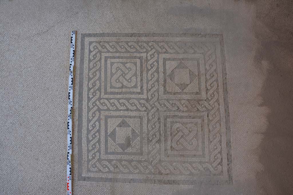 IX.5.6 Pompeii. May 2017. Room i,  central emblema in mosaic floor in tablinum.
Foto Christian Beck, ERC Grant 681269 DCOR.
