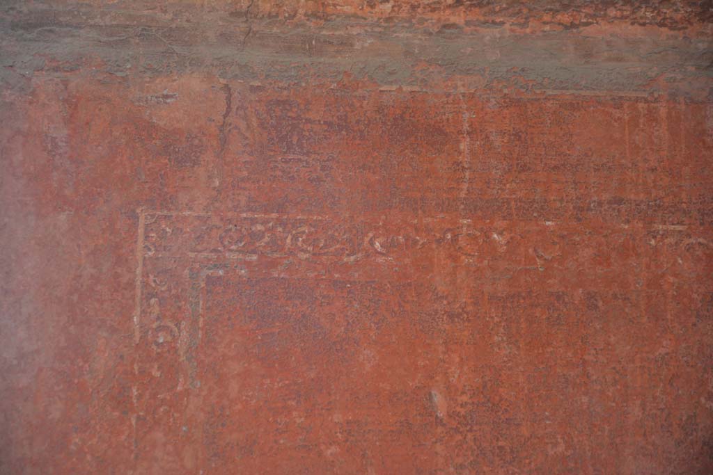 IX.5.6 Pompeii. May 2017. Room i, detail of carpet border edging on north wall in north-east corner.   
Foto Christian Beck, ERC Grant 681269 DCOR.
