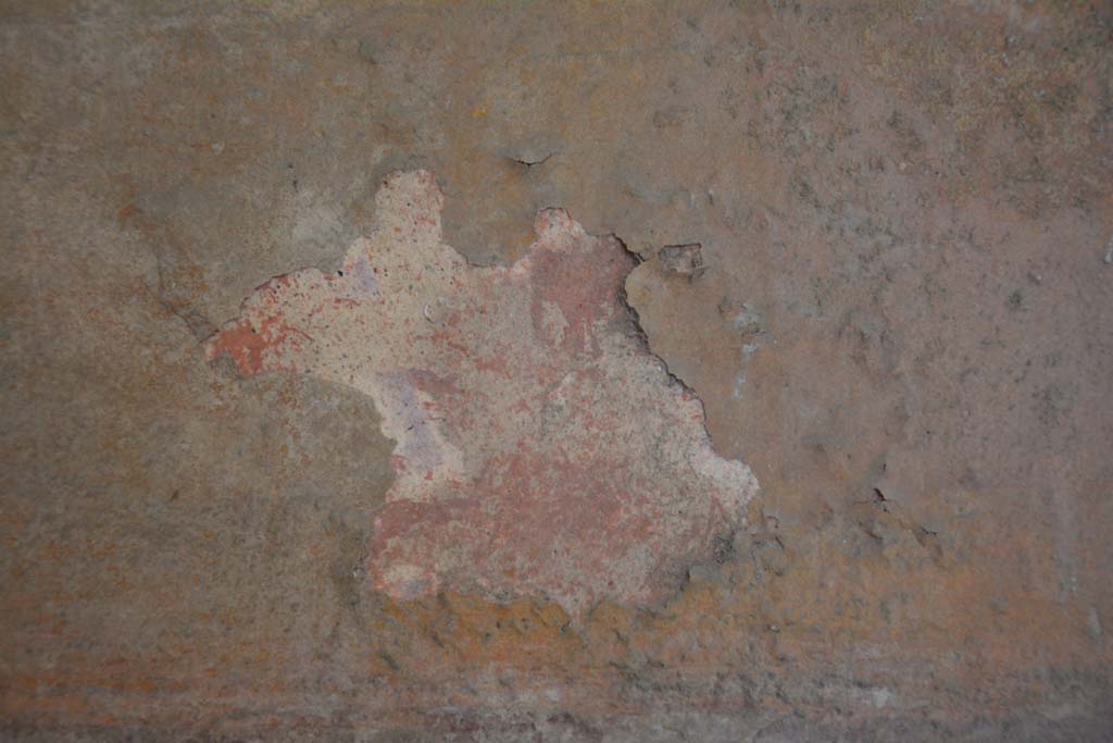 IX.5.6 Pompeii. May 2017. Room i, detail from lower middle panel on north wall in north-west corner. 
Foto Christian Beck, ERC Grant 681269 DCOR.

