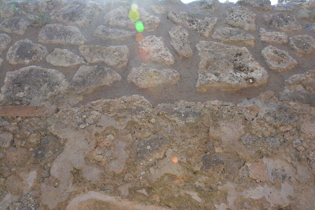 IX.5.6 Pompeii. May 2017. Room t, upper south wall.
Foto Christian Beck, ERC Grant 681269 DCOR.
