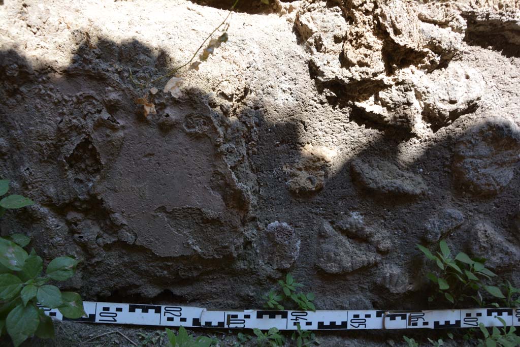 IX.5.6 Pompeii. May 2017. Room t, lower north wall at west end.
Foto Christian Beck, ERC Grant 681269 DCOR.
