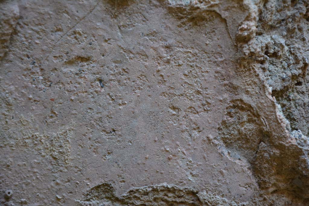 IX.5.6 Pompeii. May 2017. Room t, detail from lower north wall at west end.
Foto Christian Beck, ERC Grant 681269 DCOR.

