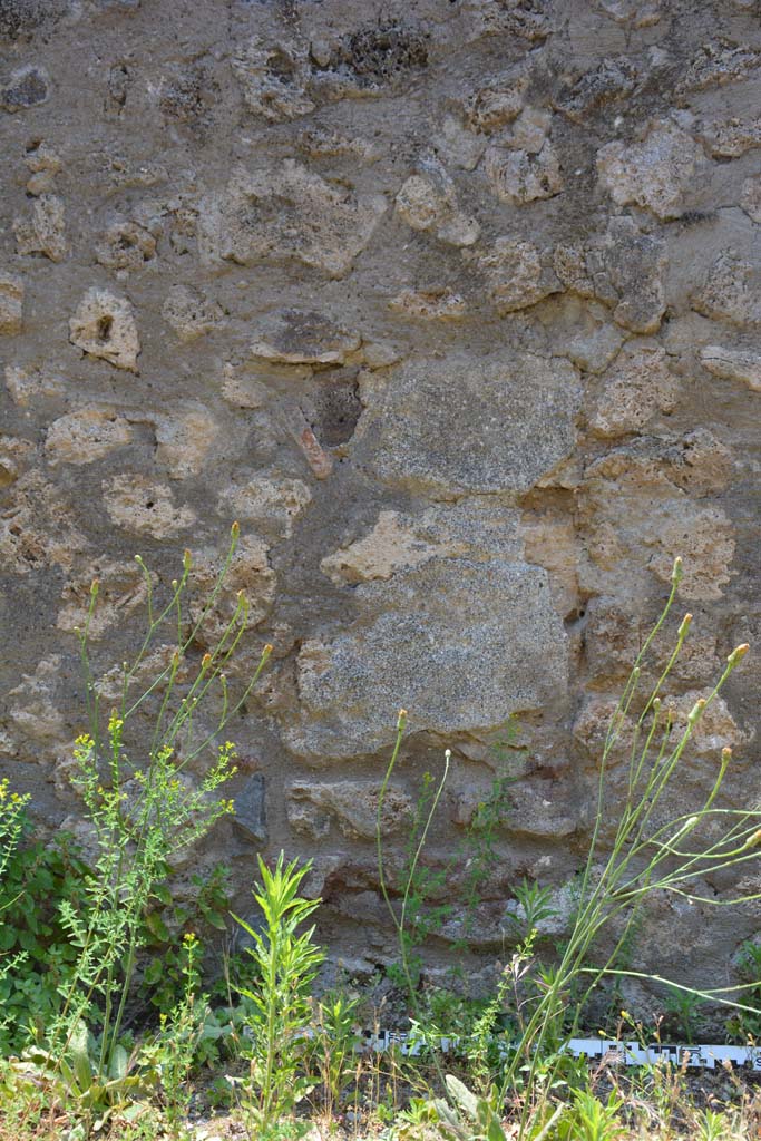 IX.5.6 Pompeii. May 2017. Room u, detail from west wall.  
Foto Christian Beck, ERC Grant 681269 DÉCOR.
