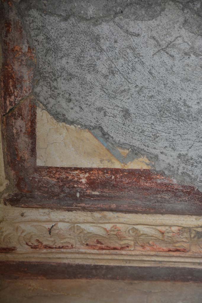 IX.5.6 Pompeii. May 2017. 
Room h, detail from stucco cornice with marine griffins on south wall, with purple ceiling border, above.  
Foto Christian Beck, ERC Grant 681269 DCOR.

