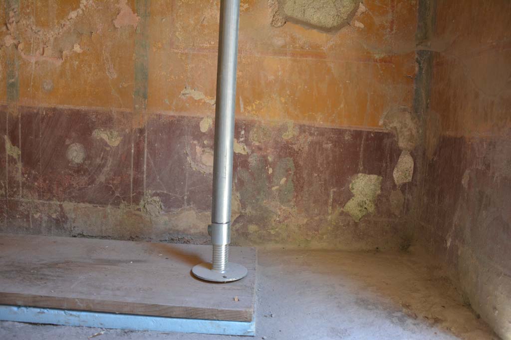 IX.5.6 Pompeii. May 2017. Room h, looking towards north wall at east end.  
Foto Christian Beck, ERC Grant 681269 DCOR.
The purple zoccolo shows, in the long side panels, plants with wide fleshy leaves and in the central compartment a plate. 

