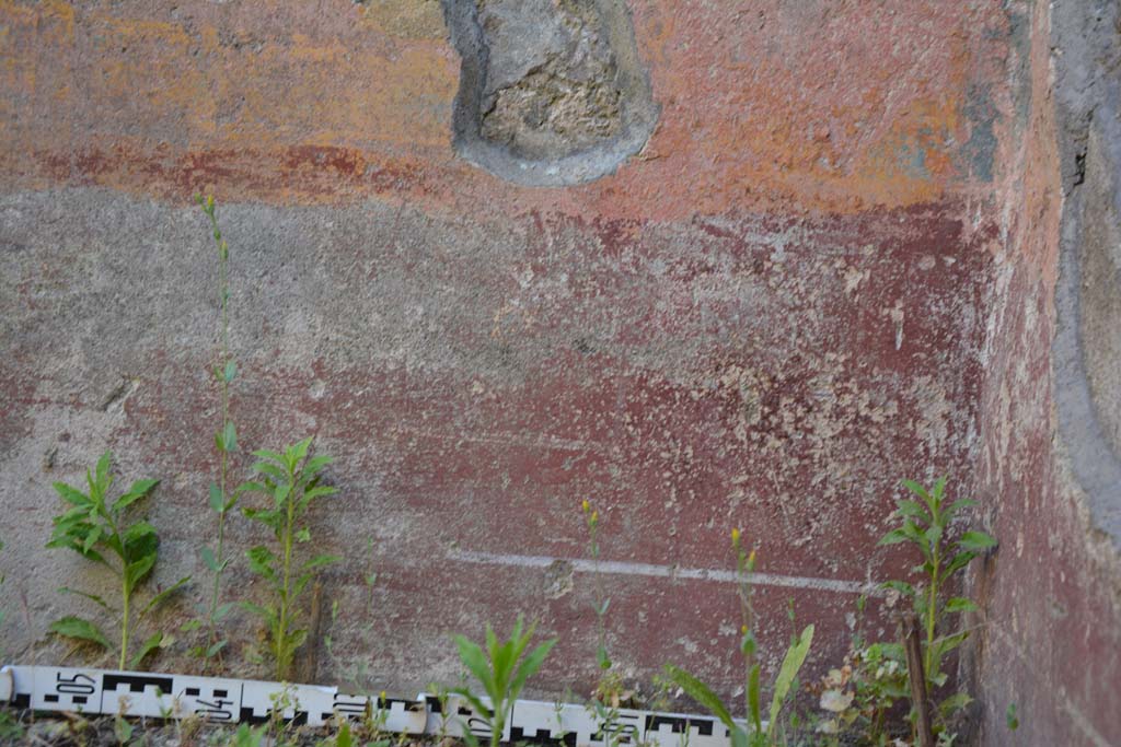 IX.5.6 Pompeii. May 2017. Room f, detail of zoccolo on west wall in north-west corner. 
Foto Christian Beck, ERC Grant 681269 DCOR.
