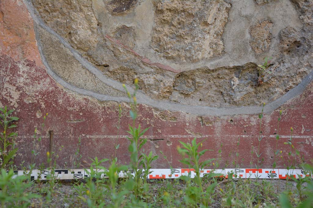 IX.5.6 Pompeii. May 2017. Room f, detail from zoccolo on north wall at west end
Foto Christian Beck, ERC Grant 681269 DCOR.
