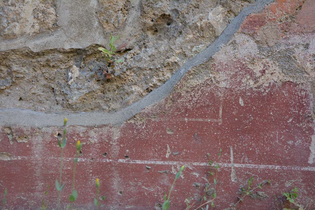 IX.5.6 Pompeii. May 2017. Room f, detail from zoccolo on north wall at east end
Foto Christian Beck, ERC Grant 681269 DCOR.
