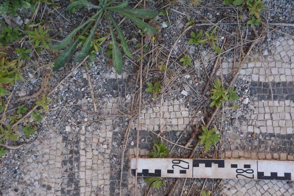 IX.5.6 Pompeii. May 2017. East ala e, detail of flooring, two black bands and white mosaic.
Foto Christian Beck, ERC Grant 681269 DCOR.
