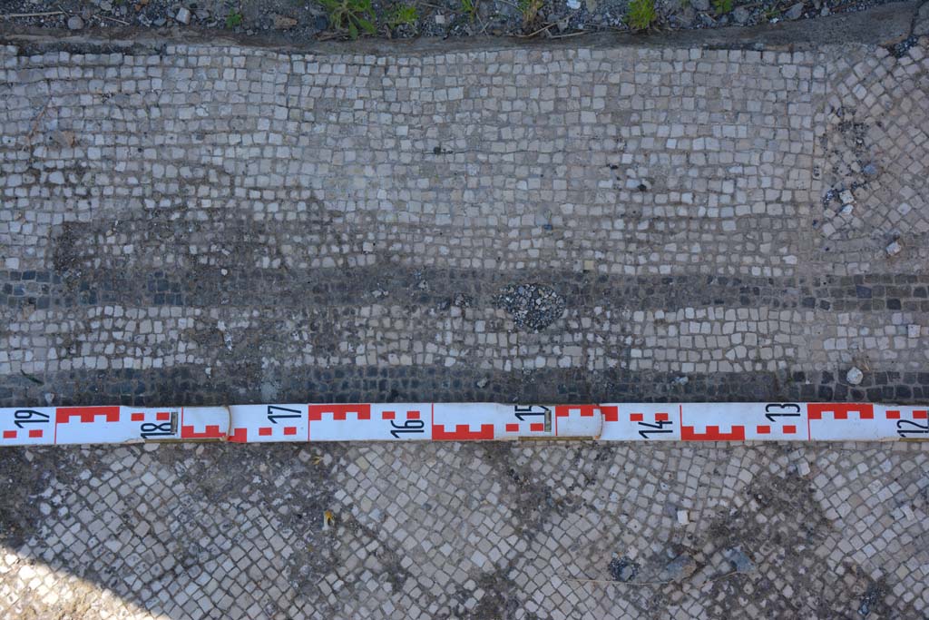 IX.5.6 Pompeii. May 2017. East ala e, detail of mosaic flooring near doorway to room f.
Foto Christian Beck, ERC Grant 681269 DCOR.

