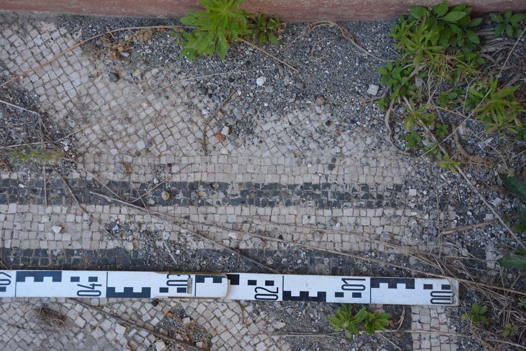 IX.5.6 Pompeii. May 2017. East ala e, detail of mosaic flooring in north-east corner.
Foto Christian Beck, ERC Grant 681269 DCOR.
