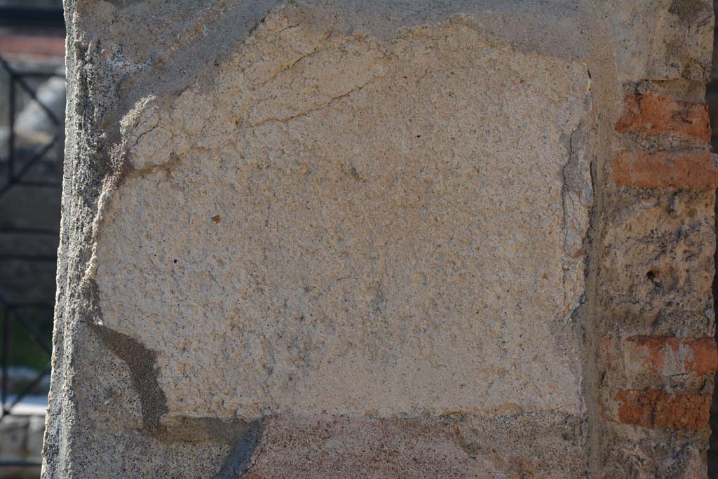IX.5.6 Pompeii. May 2017. East ala e, detail from north wall at west end.
Foto Christian Beck, ERC Grant 681269 DCOR.

