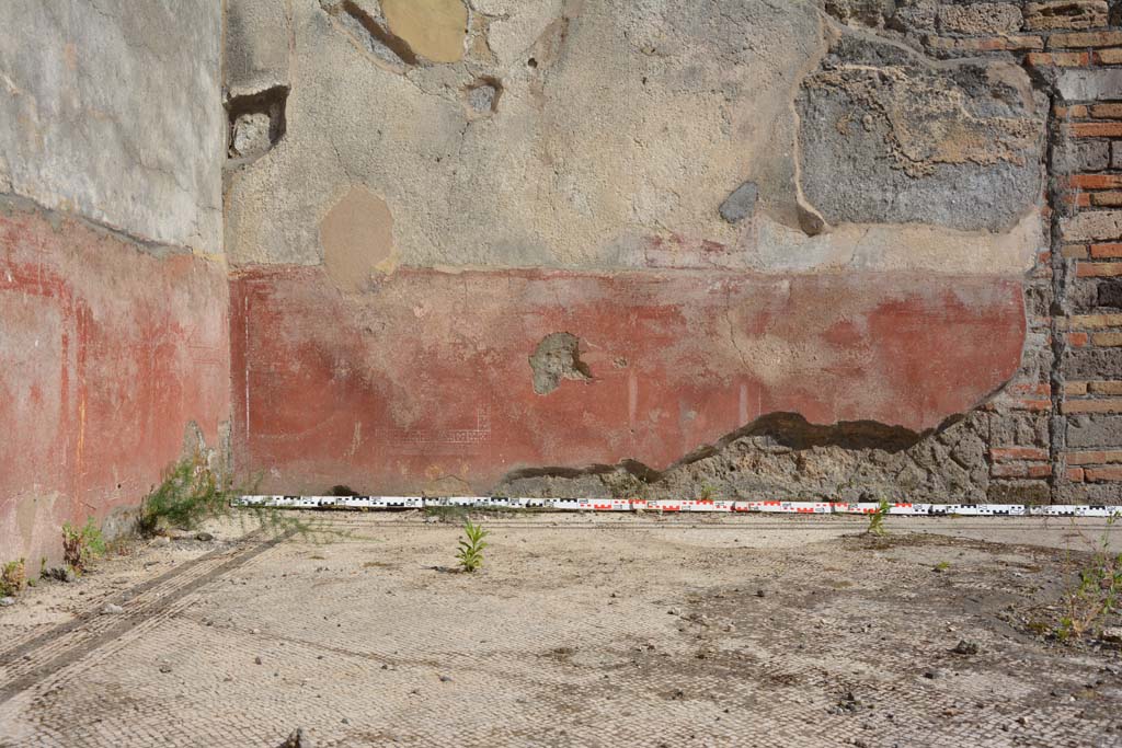 IX.5.6 Pompeii. May 2017. East ala e, looking across flooring towards zoccolo on south wall. 
Foto Christian Beck, ERC Grant 681269 DCOR.
