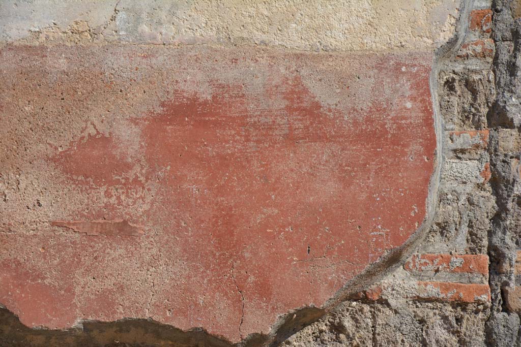 IX.5.6 Pompeii. May 2017. East ala e, detail of zoccolo on south wall at west end. 
Foto Christian Beck, ERC Grant 681269 DCOR.
