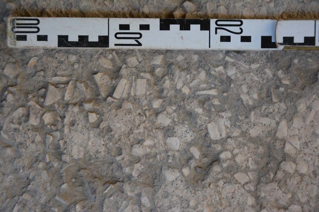 IX.5.6 Pompeii. May 2017. Room g, detail of flooring. 
Foto Christian Beck, ERC Grant 681269 DCOR.

