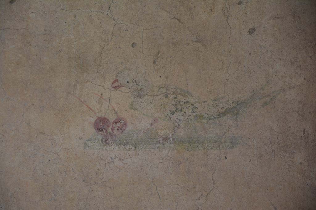 IX.5.6 Pompeii. May 2017. Room l (L), detail of painted bird with two cherries on north wall, panel at east end.
Foto Christian Beck, ERC Grant 681269 DCOR.

