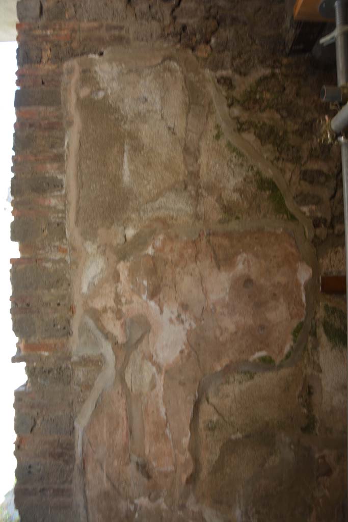 IX.5.6 Pompeii. May 2017. Room m, south wall at east end near doorway to steps. 
Foto Christian Beck, ERC Grant 681269 DCOR.

