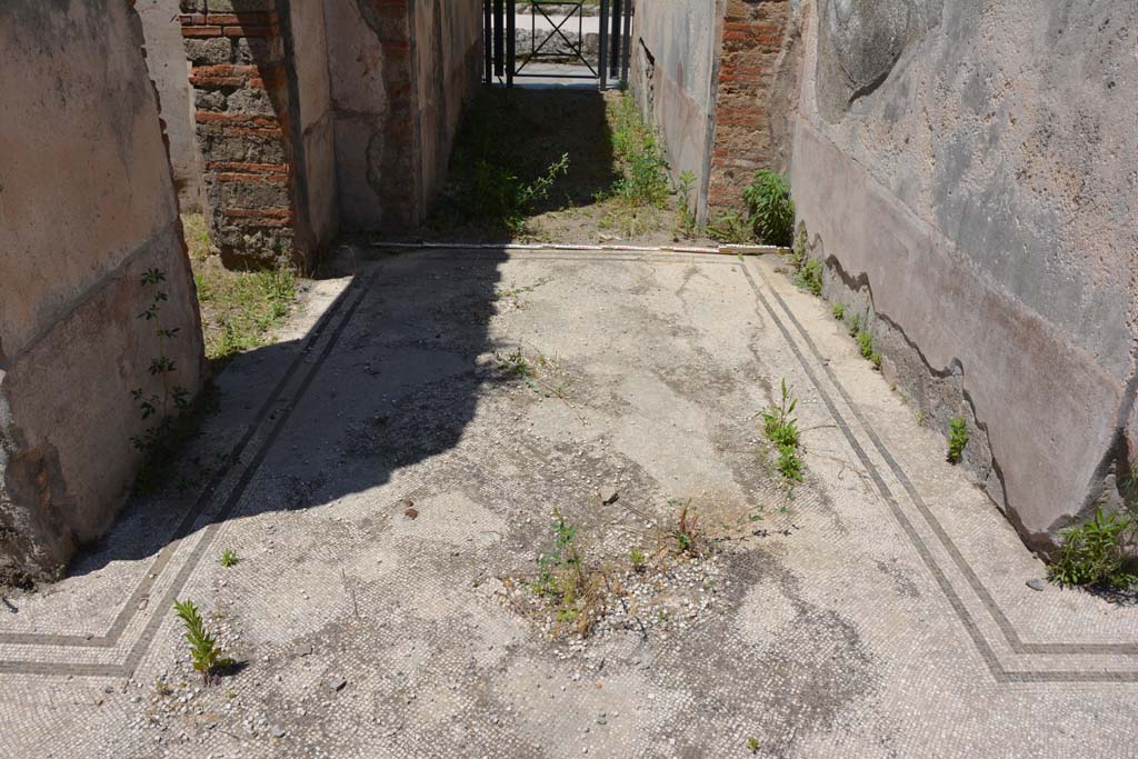 IX.5.6 Pompeii. May 2017. Room a, west wall near entrance doorway.
Foto Christian Beck, ERC Grant 681269 DÉCOR.
