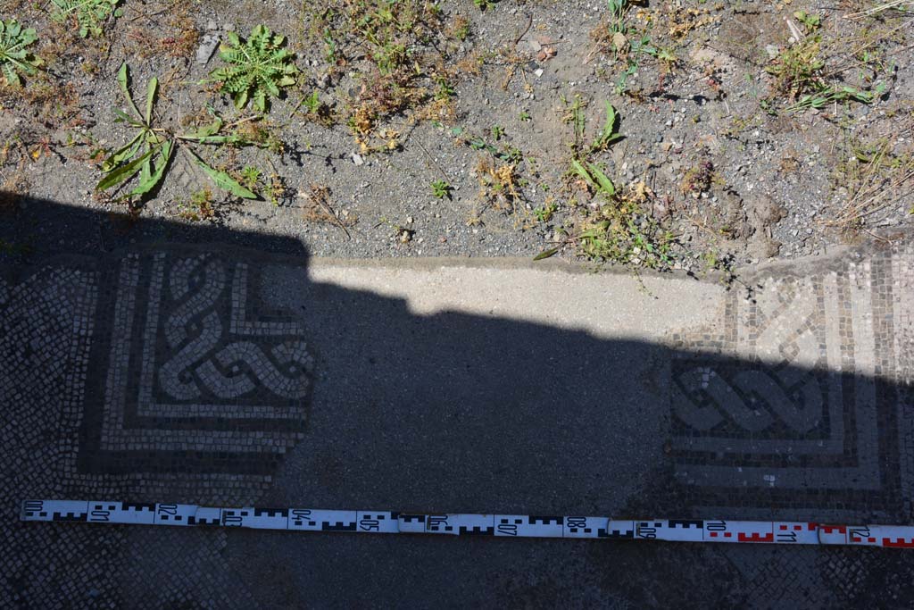 IX.5.6 Pompeii. May 2017. Area c’, upper west wall above doorway to room h.
Foto Christian Beck, ERC Grant 681269 DÉCOR.

