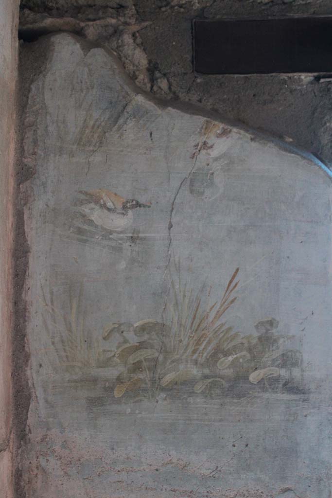IX.5.9 Pompeii. May 2019. Room l (L), detail from upper east wall.  
Foto Christian Beck, ERC Grant 681269 DCOR.
