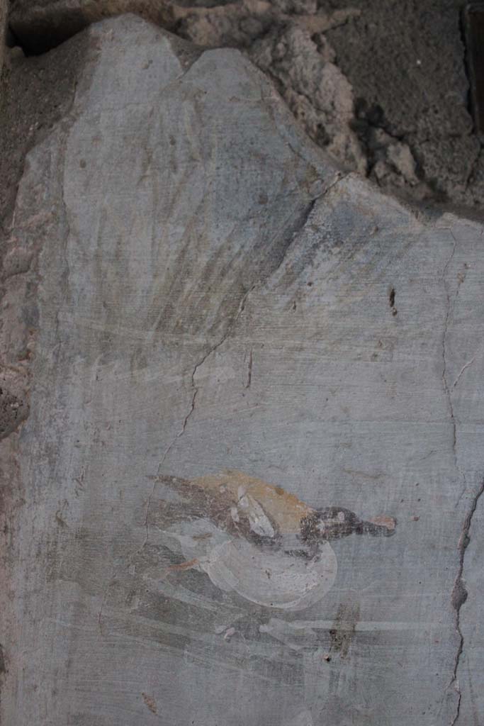 IX.5.9 Pompeii. May 2019. Room l (L), detail of painted duck from upper east wall.  
Foto Christian Beck, ERC Grant 681269 DCOR.
